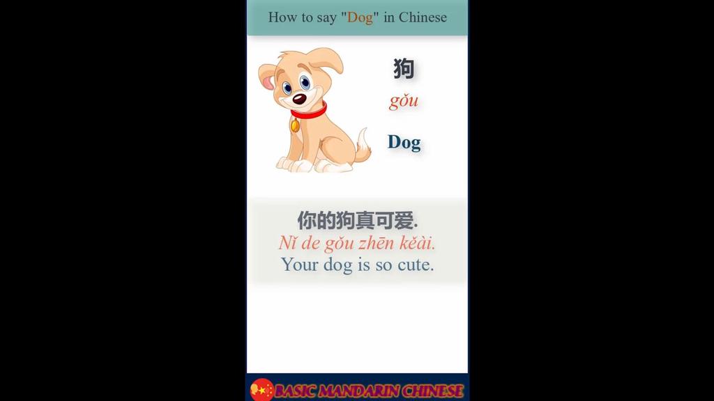 'Video thumbnail for How do you say Dog in Chinese | English to Chinese #shorts'