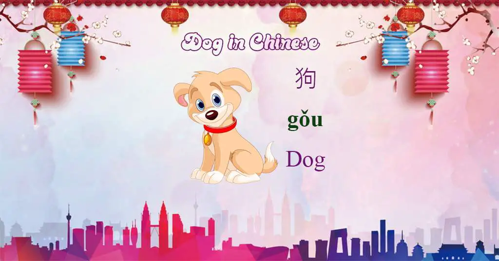 How to say Dog in Chinese - Basic Mandarin Chinese