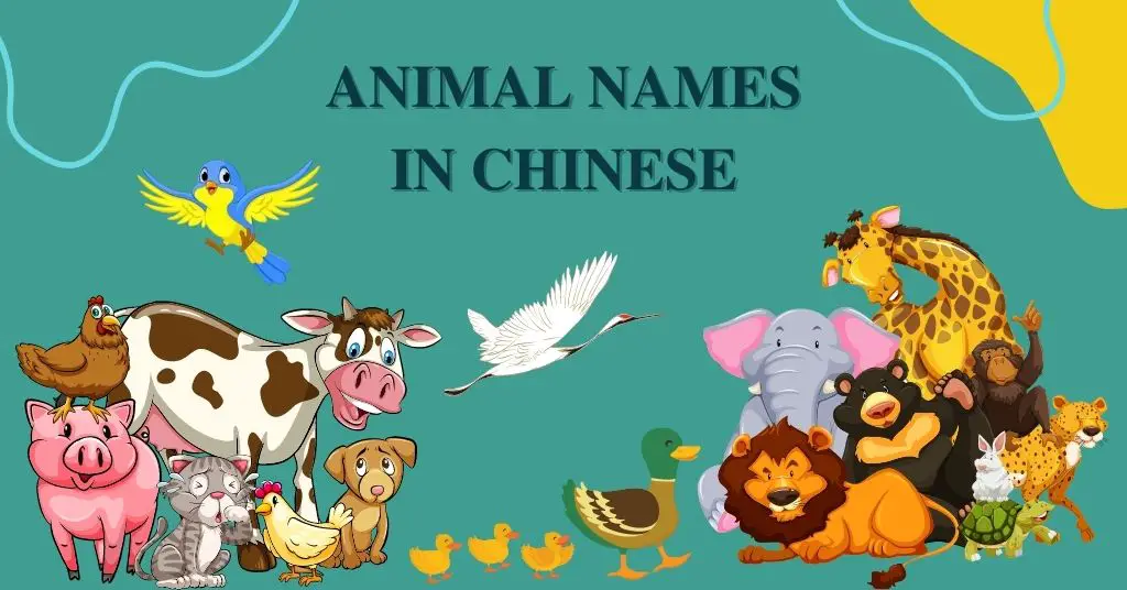 Animal names in Chinese